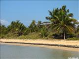 Punta Vaca Beach - VIEQUES